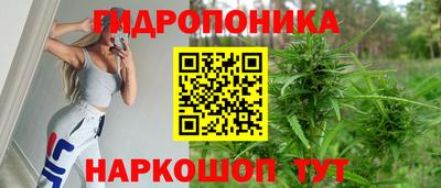 альфа пвп Аргун