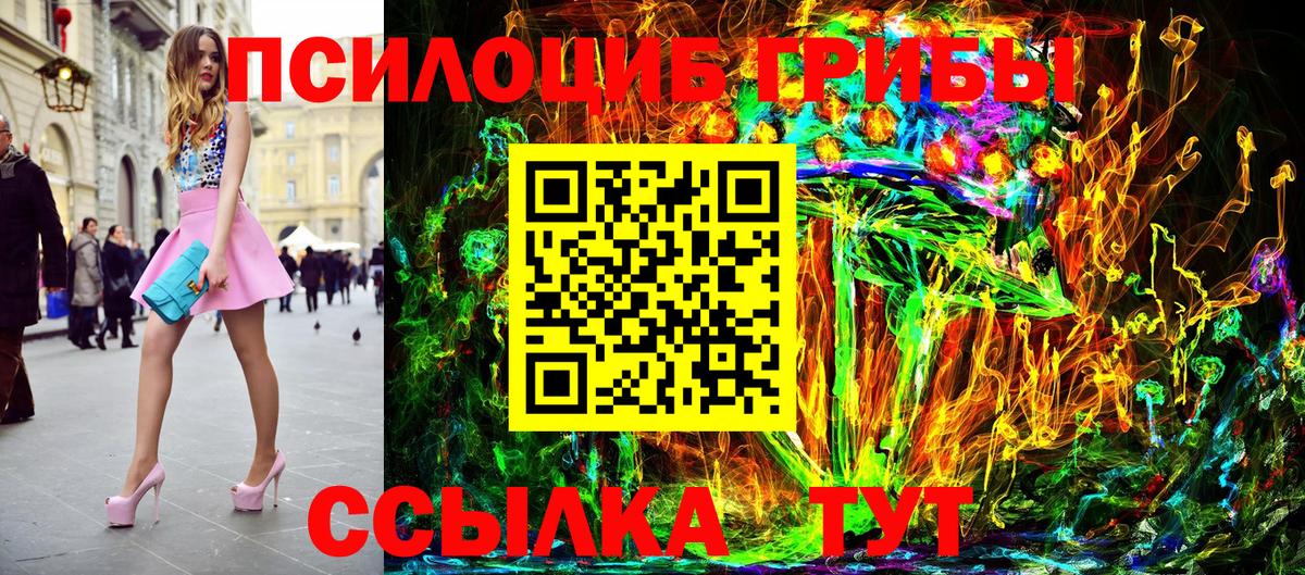 Псилоцибиновые грибы мицелий Тара