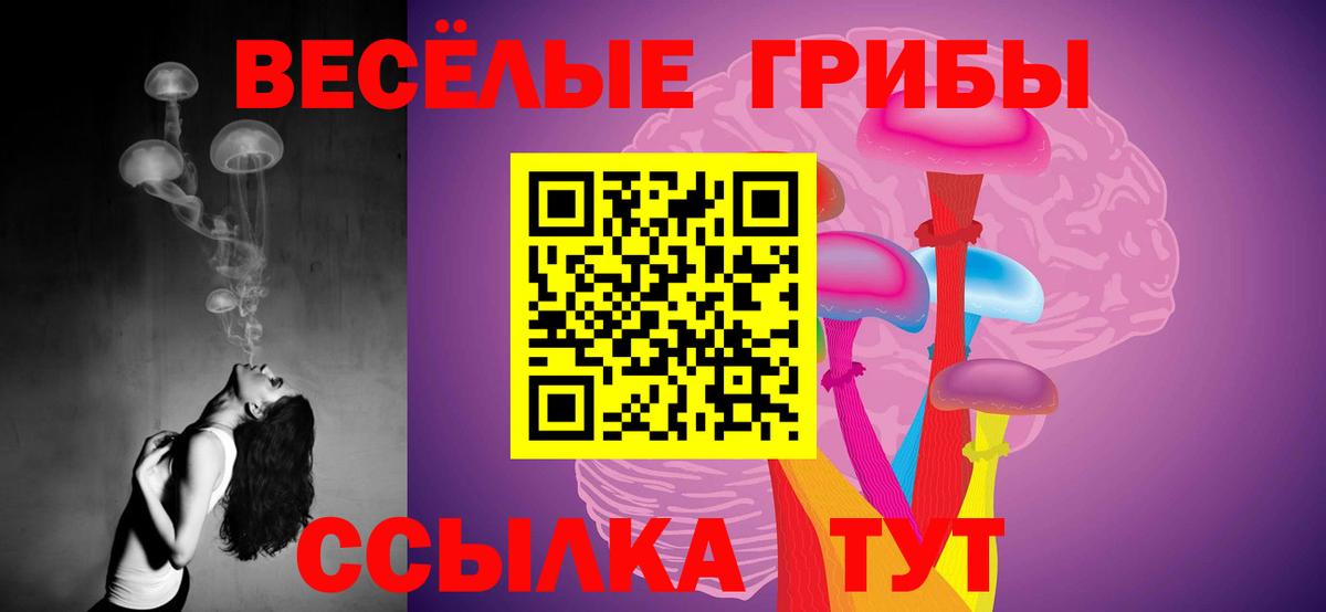 ЭКСТАЗИ  Вход с VPN  ГАШИШ  Alpha-PVP СОЛЬ кристаллы  Меф МЯУ МЯУ   Тара  Конопля  Гашиш  Cocaine  АМФЕТАМИН  